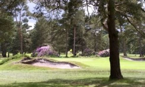 Ferndown GC