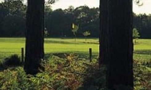 Moors Valley GC